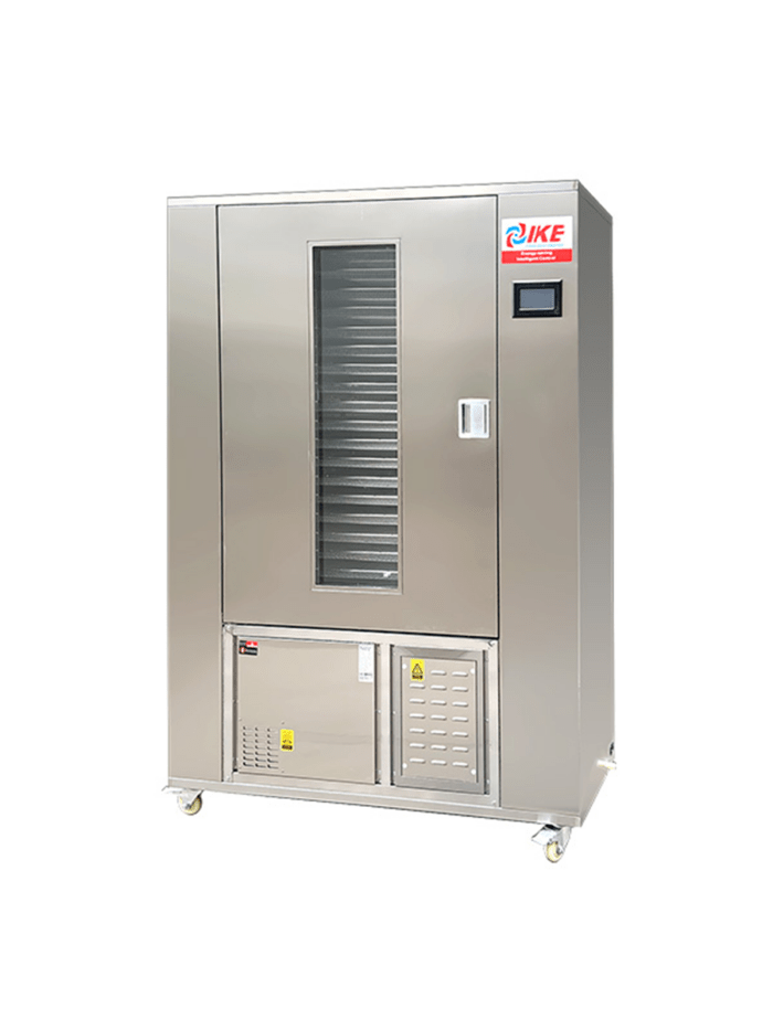 Пищевой дегидратор WRH-100GN